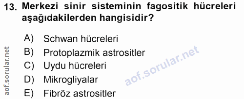 13. soru: Merkezi sinir sisteminin fagositik hücreleri aşağıdakilerden hangisidir? A) Schwan hücreleri B) Protoplazmik astrosit…