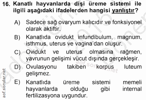 16. soru: Kanatlı hayvanlarda dişi üreme sistemi ile ilgili aşağıdaki ifadelerden hangisi yanlıştır? A) Sadece sağ ovaryum kalı…