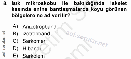 8. soru: Işık mikroskobu ile bakıldığında iskelet kasında enine antlaşmalarda koyu görünen bölgelere ne ad verilir? A) Anizotr…