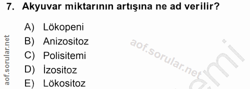 7. soru: Akyuvar miktarının artışına ne ad verilir? A) Lökopeni B) Anizositoz C) Polisitemi D) İzositoz E) Lökositoz