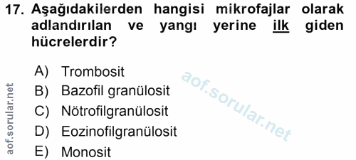 17. soru: Aşağıdakilerden hangisi mikrofajlar olarak adlandırılan ve yangı yerine ilk giden hücrelerdir? A) Trombosit B) Bazofi…