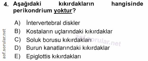4. soru: Aşağıdakir kıkırdakların hangisinde perikondrium yoktur? A) Intervertebral diskler B) Kostaların uçlarındaki kıkırdak…