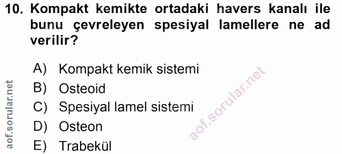10. soru: Kompakt kemikte ortadaki havers kanalı ile bunu çevreleyen spesiyal lamellere ne ad verilir? A) Kompakt kemik sistemi…