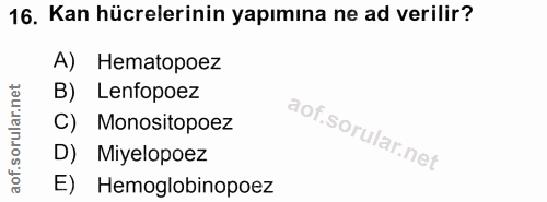 16. soru: Kan hücrelerinin yapımına ne ad verilir? A) Hematopoez B) Lenfopoez C) Monositopoez D) Miyelopoez E) Hemoglobinopoez