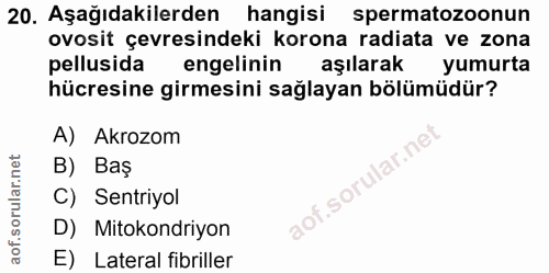 20. soru: Aşağıdakilerden hangisi spermatozoonun ovosit çevresindeki korona radiata ve zona pellusida engelinin aşılarak yumurt…