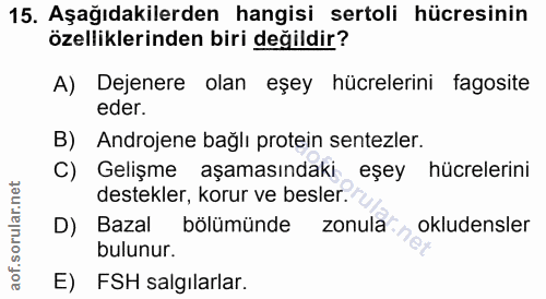 15. soru: Aşağıdakilerden hangisi sertoli hücresinin özelliklerinden biri değildir? A) Dejenere olan eşey hücrelerini fagosite…