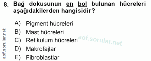 8. soru: Bağ dokusunun en bol bulunan hücreleri aşağıdakilerden hangisidir? A) Pigment hücreleri c) Retikulum hücreleri of. B)…