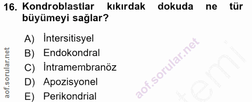 16. soru: Kondroblastlar kıkırdak | dokuda ne tür büyümeyi sağlar? A) Intersitisyel B) Endokondral i.sorular.ne C) Intramembran…