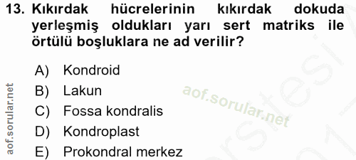 13. soru: Kıkırdak hücrelerinin kıkırdak dokuda yerleşmiş oldukları yarı sert matriks ile örtülü boşluklara ne ad verilir? A) K…