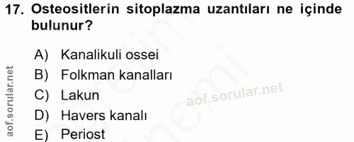 17. soru: Osteositlerin sitoplazma uzantıları ne içinde bulunur? A) Kanalikuli ossei B) Folkman kanalları C) Lakun D) Havers ka…