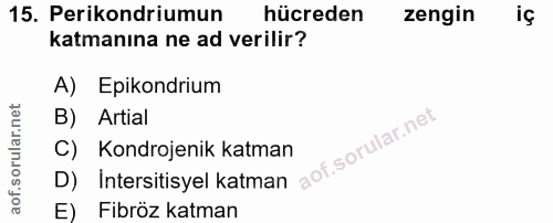 15. soru: Perikondriumun hücreden zengin katmanına ne ad verilir? A) Epikondrium B) Artial C) Kondrojenik katman D) Intersitisy…