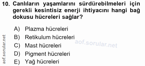 10. soru: Canlıların yaşamlarını sürdürebilmeleri için gerekli kesintisiz enerji ihtiyacını hangi bağ dokusu hücreleri sağlar?…