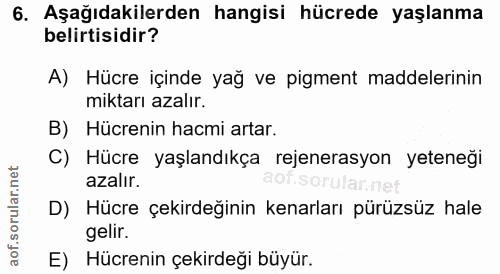 6. soru: Aşağıdakilerden hangisi hücrede yaşlanma belirtisidir? A) Hücre içinde yağ ve pigment maddelerinin miktarı azalır. B)…