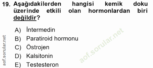 19. soru: Aşağıdakilerden hangisi kemik doku üzerinde etkili olan hormonlardan biri değildir? A) İntermedin B) Paratiroid hormo…