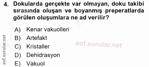 4. soru: Dokularda gerçekte var olmayan, doku takibi sırasında oluşan ve boyanmış preperatlarda görülen oluşumlara ne ad veril…