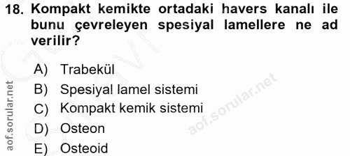 18. soru: Kompakt kemikte ortadaki havers kanalı ile bunu çevreleyen spesiyal lamellere ne ad verilir? A) Trabekül B) Spesiyal…