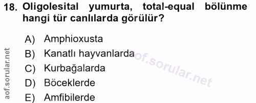 18. soru: Oligolesital yumurta, total-equal bölünme hangi tür canlılarda görülür? B) Kanatlı hayvanlard A) Amphioxusta C) Kurba…