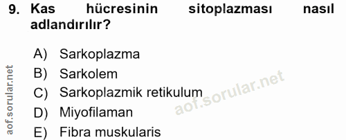 9. soru: Kas hücresinin sitoplazması nasil adlandırılır? A) Sarkoplazma B) Sarkolem C) Sarkoplazmik retikulum D) Miyofilaman E…