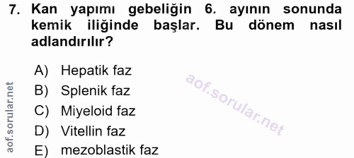 7. soru: Kan yapımı gebeliğin 6. ayının sonunda kemik iliğinde başlar. Bu dönem nasıl adlandırılır? A) Hepatik faz B) Splenik…