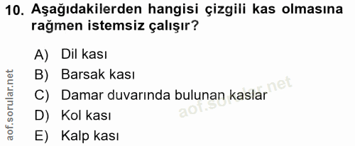 10. soru: Aşağıdakilerden hangisi çizgili kas olmasına rağmen istemsiz çalışır? A) Dil kası C) Damar duvarında bulunan kaslar e…