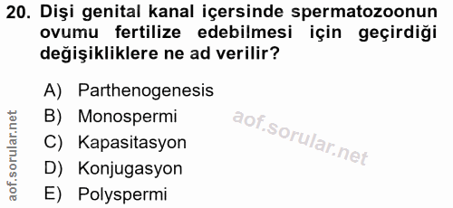 20. soru: Dişi genital kanal içersinde spermatozoonun ovumu fertilize edebilmesi için geçirdiği değişikliklere ne ad verilir? A…
