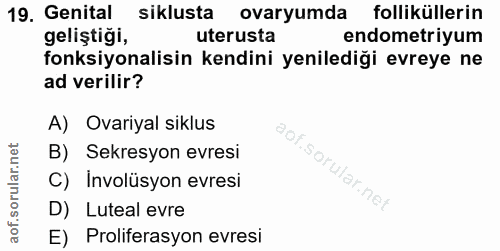 19. soru: Genital siklusta ovaryumda folliküllerin geliştiği, uterusta endometriyum fonksiyonalisin kendini yenilediği evreye n…