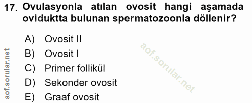 17. soru: Ovulasyonla atılan ovosit hangi aşamada oviduktta bulunan spermatozoonla döllenir? A) Ovosit I/ Ovosit | Primer folli…