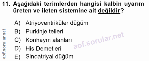 11. soru: Aşağıdaki terimlerden hangisi kalbin uyarım üreten ve ileten sistemine ait değildir? A) Atriyoventriküler düğüm B) Pu…