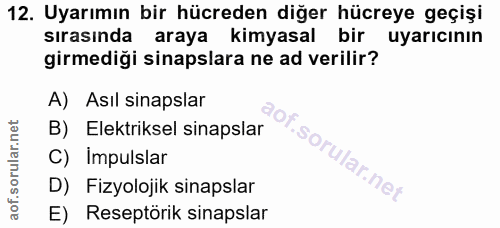 12. soru: Uyarımın bir hücreden diğer hücreye geçişi sırasında araya kimyasal bir uyarıcının girmediği sinapslara ne ad verilir…