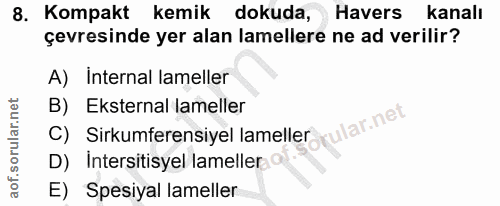 8. soru: Kompakt kemik dokuda, Havers kanalı çevresinde yer alan lamellere ne ad verilir? A) Internal lameller C) Sirkumferens…