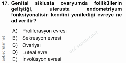 17. soru: Genital siklusta ovaryumda folliküllerin geliştiği, uterusta endometriyum fonksiyonalisin kendini yenilediği evreye n…