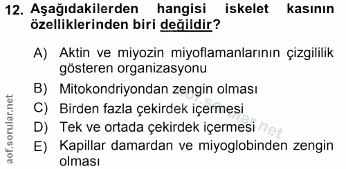 12. soru: Aşağıdakilerden hangisi iskelet kasının özelliklerinden biri değildir? A) Aktin ve miyozin miyoflamanlarının çizgilil…