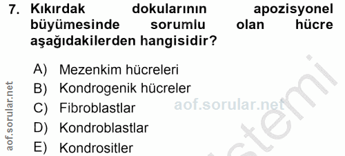 7. soru: Kıkırdak dokularının apozisyonel büyümesinde sorumlu olan hücre aşağıdakilerden hangisidir? A) Mezenkim hücreleri B)…