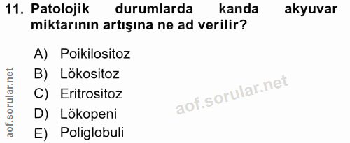 11. soru: Patolojik durumlarda kanda akyuvar miktarının artışına ne ad verilir? A) Poikilositoz B) Lökositoz C) Eritrositoz D)…