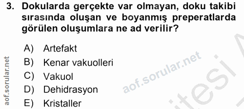 3. soru: Dokularda gerçekte var olmayan, doku takibi sırasında oluşan ve boyanmış preperatlarda görülen oluşumlara ne ad veril…