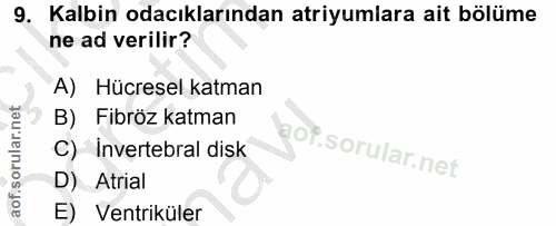 9. soru: Kalbin odacıklarından atriyumlara ait bölüme ne ad verilir? A) Hücresel katman B) Fibröz katman gof. C) Invertebral d…