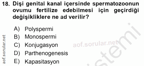 18. soru: Dişi genital kanal içersinde spermatozoonun ovumu fertilize edebilmesi için geçirdiği değişikliklere ne ad verilir? A…