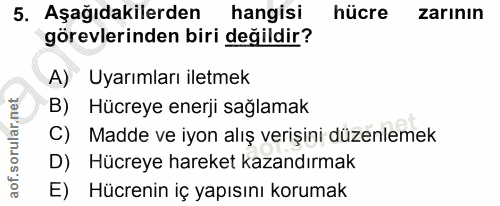 5. soru: Aşağıdakilerden hangisi hücre zarının görevlerinden biri değildir? A) Uyarımları iletmek B) Hücreye enerji sağlamak C…