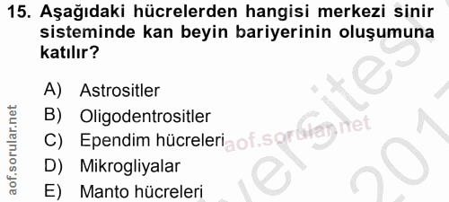 15. soru: Aşağıdaki hücrelerden hangisi merkezi sinir sisteminde kan beyin bariyerinin oluşumuna katılır? A) Astrositler B) Oli…