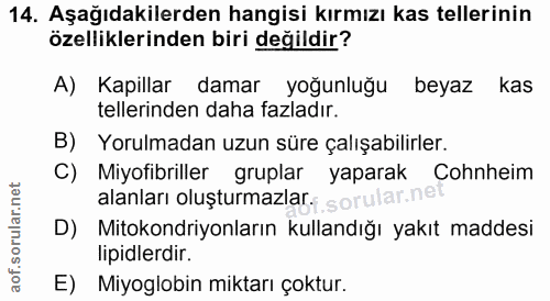14. soru: Aşağıdakilerden hangisi kırmızı kas tellerinin özelliklerinden biri değildir? A) Kapillar damar yoğunluğu beyaz kas t…