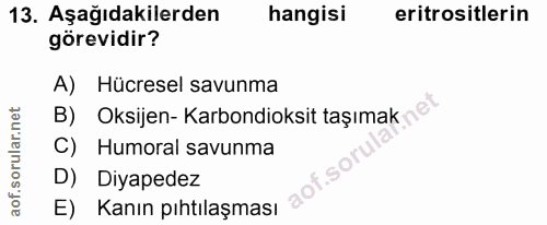 13. soru: Aşağıdakilerden hangisi eritrositlerin görevidir? A) Hücresel savunma B) Oksijen- Karbondioksit taşımak n® C) Humoral…