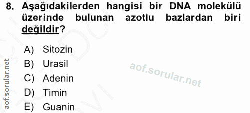 8. soru: Aşağıdakilerden hangisi bir DNA molekülü üzerinde bulunan azotlu bazlardan biri değildir? A) Sitozin B) Urasil C) Ade…