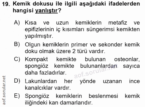 19. soru: Kemik dokusu ile ilgili aşağıdaki ifadelerden hangisi yanlıştır? A) Kısa ve uzun kemiklerin metafiz ve epifizlerinin…
