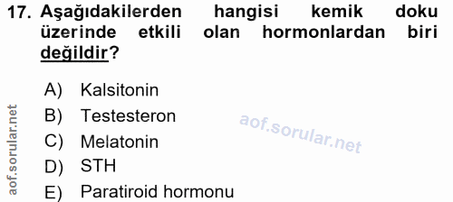17. soru: Aşağıdakilerden hangisi kemik doku üzerinde etkili olan hormonlardan biri değildir? A) Kalsitonin B) Testesteron C) M…