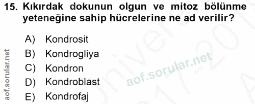 15. soru: Kıkırdak dokunun olgun ve mitoz bölünme yeteneğine sahip hücrelerine ne ad verilir? A) Kondrosit B) Kondrogliya C) Ko…
