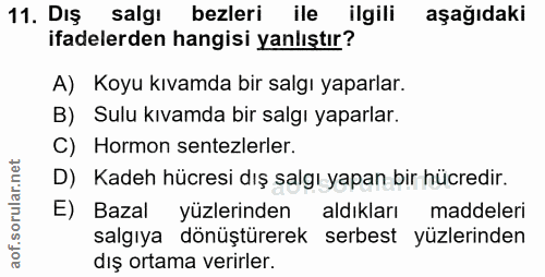 11. soru: Dış salgı bezleri ile ilgili aşağıdaki ifadelerden hangisi yanlıştır? A) Koyu kıvamda bir salgı yaparlar. B) Sulu kıv…