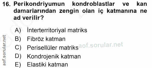 16. soru: Perikondriyumun kondroblastlar ve kan damarlarından zengin olan iç katmanına ne ad verilir? A) Interterritoriyal matr…