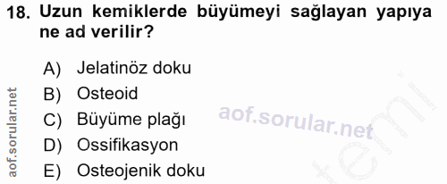 18. soru: Uzun kemiklerde büyümeyi sağlayan yapıya ne ad verilir? A) Jelatinöz doku B) Osteoid C) Büyüme plağı D) Ossifikasyon…