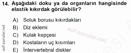 14. soru: Aşağıdaki doku ya da organların hangisinde elastik kıkırdak görülebilir? A) Soluk borusu kıkırdakları B) Diz eklemi K…