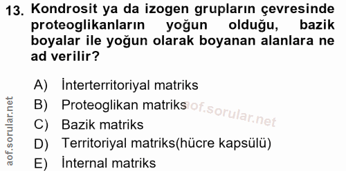 13. soru: Kondrosit ya da izogen grupların çevresinde proteoglikanların yoğun olduğu, bazik boyalar ile yoğun olarak boyanan al…